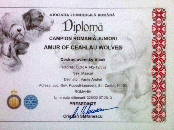 Diploma campion juniori