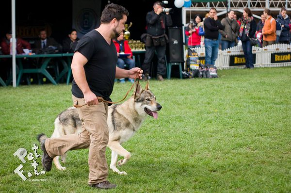Expo Bucuresti 13.04.2014