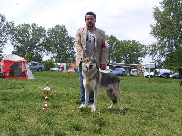 Expo Targoviste 03.05.2014