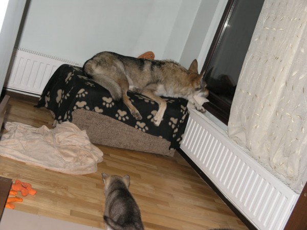 Locul ei de la geam.