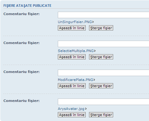Se pot adăuga comentarii la fiecare fișier