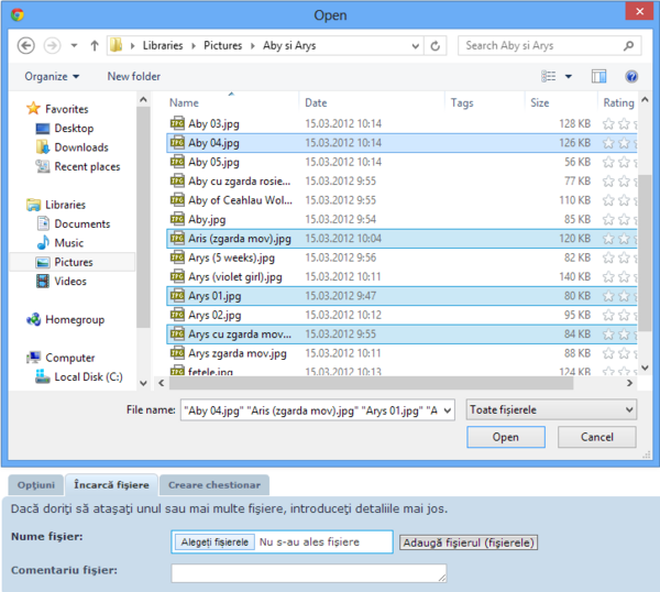 În fereastra „Open” s-au selectat mai multe fișiere