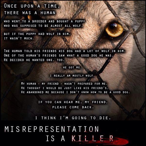 Imaginea este luată de pe: http://thewolfdogblog.com/2013/05/03/would-you-pay-85-to-walk-someone-elses-dog-for-an-hour/